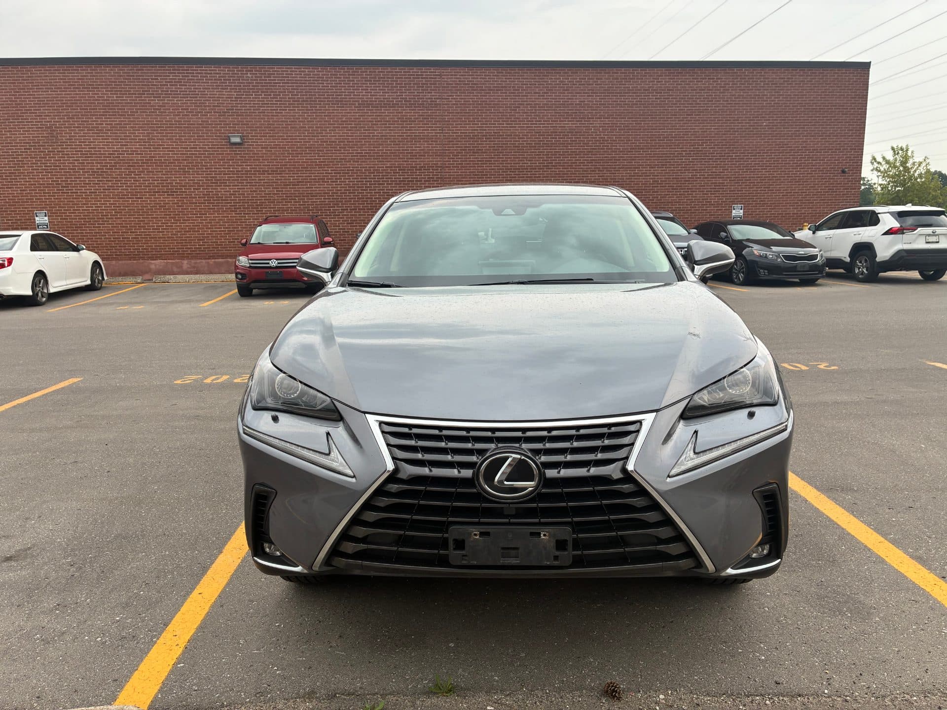 2019 Lexus NX